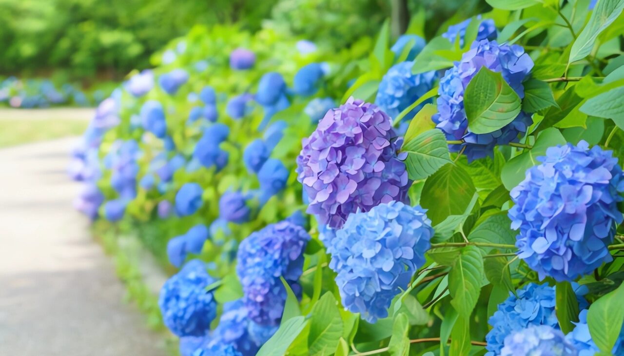 あなたは大丈夫?梅雨時期の体調不良の原因と効果的な対策