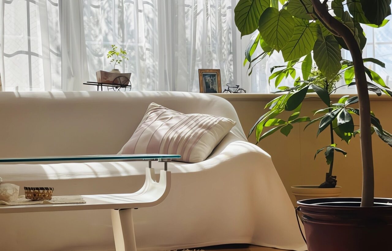 毎日の湿度管理！手作り加湿器のベストアイデア5選